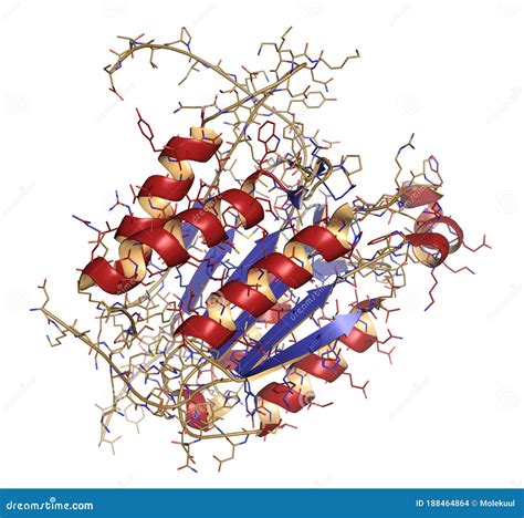 Image result for Cell Death Programed