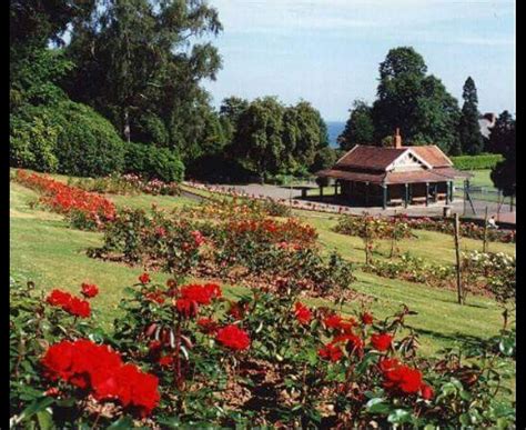 CWMDONKIN PARK - All You Need to Know BEFORE You Go 2026 (with Photos ...