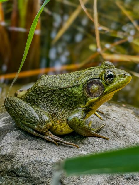 Environmental Science Development Picturs 的图像结果