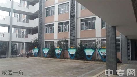重庆南坪中学初中部：培养全面发展的南坪之星 - 哔哩哔哩