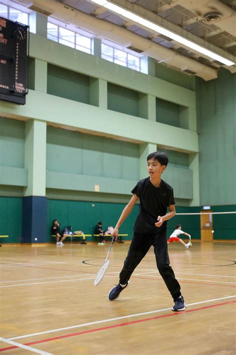 Badminton 图片 的图像结果