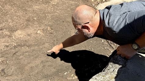 Footprints of Hope | Big Cat Rescue | Wild cats in the wild: Our ...