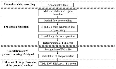 Non-Contact Monitoring of Fetal Movement Using Abdominal Video Recording