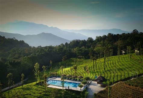 Wild Planet Luxury Jungle & Mountain Resorts | Nilgiris & Wayanad
