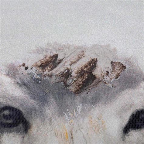 Honeybloom Sheep Canvas Wall Art | At Home