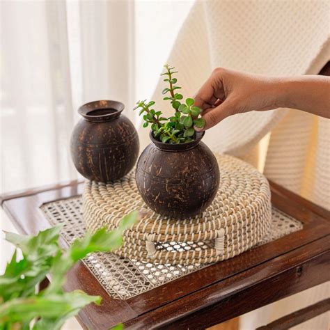 Thenga Coconut Shell Pot Shaped Indoor/Gardening Planter Pots | Ideal ...