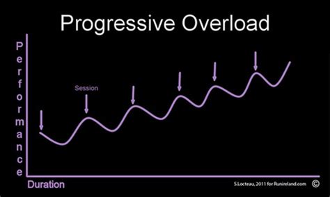 Image result for Principles of Progressive Overload