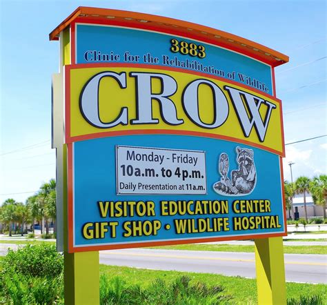 Clinic for the Rehabilitation of Wildlife (CROW) (Sanibel Island): All ...