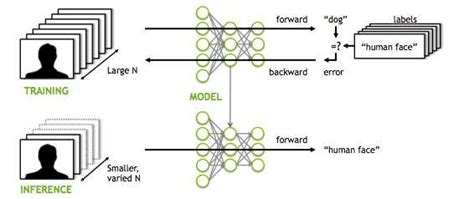 Image result for Neural Network Tutorial Scratch