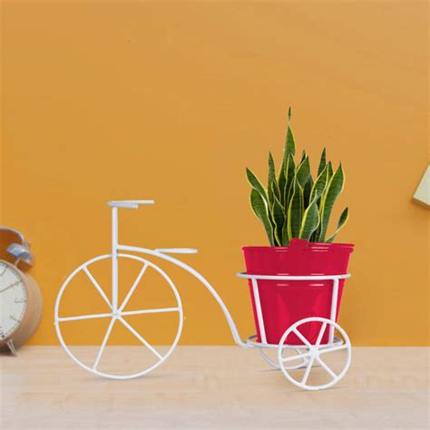 Metal Bicycle with Assorted color Bucket Planter – TrustBasket