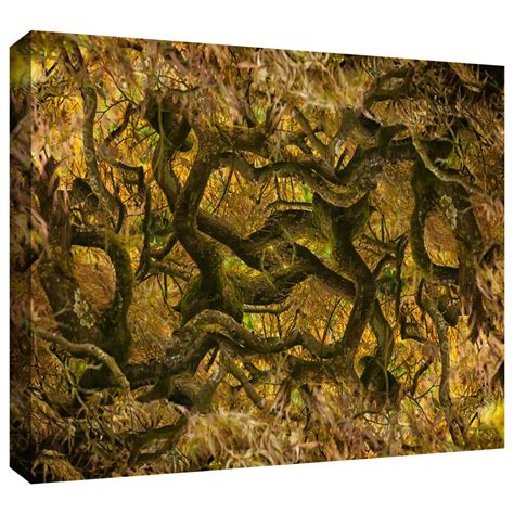 Artwall Cora Niele 'Acer Palmatum Dissectum Ornatum' Unwrapped Flat ...