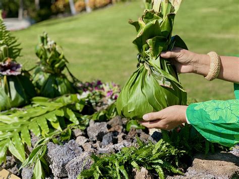 Hawaiian Culture 的图像结果