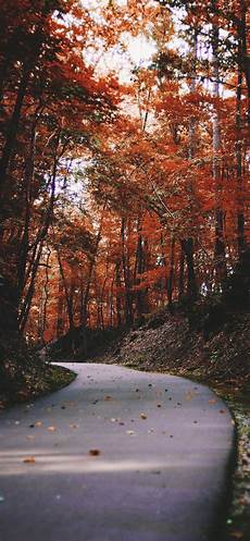 Iphone Xs Wallpaper Autumn by Wallpaper Weekends Autumn Iphone Xs Max Wallpapers Iphone Xs Wallpaper Autumn