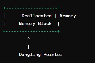 Image result for Dangling Pointer Example Program