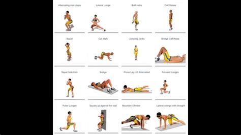 Image result for Basic Steps for Exercise