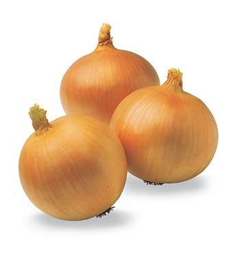 Dehydrated Onion exporter, Dehydrated onion supplier, Dry Onions ...