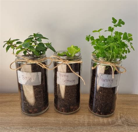 How to Use Leca 的图像结果