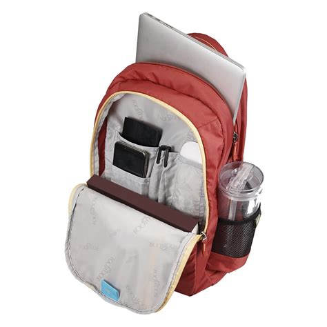 Buy Skybags 48 cms Red Laptop Backpack (LPBPROU4RED) at Amazon.in
