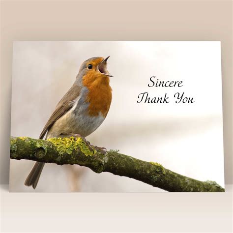 Acknowledgment Types 的图像结果