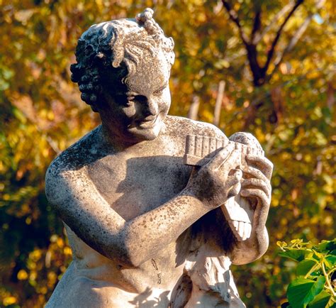 Image result for Flute Stringed Instruments