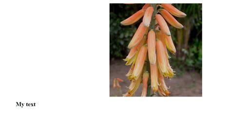 Image result for HTML Wrap Text around Embed Video