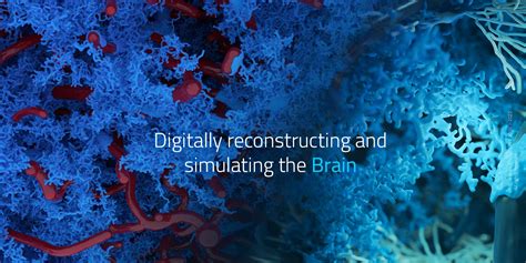 Blue Brain Project 的图像结果