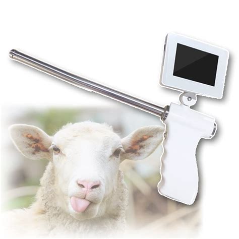 Buy Sheep Visual Insemination , with 5MP Camera 360° LCD Screen ...