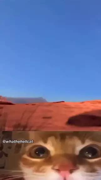 what is 1.16666 as a fraction | Discover