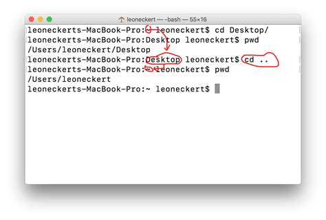 First Steps Python 的图像结果