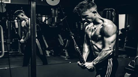 151+ Best Gym Status in Hindi (2026) | जिम शायरी और स्टेटस