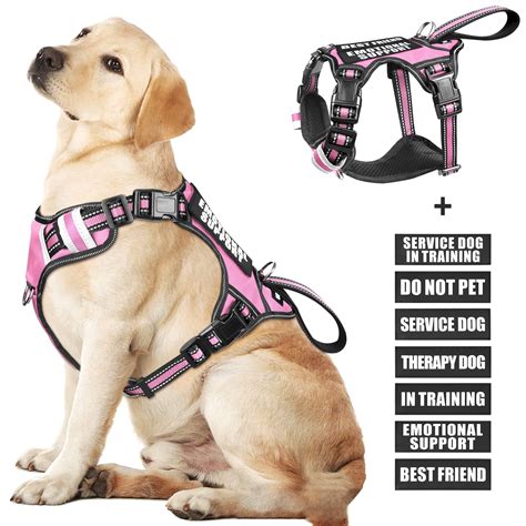Service Dog Vest Emotional Support at Cornelia Priest blog