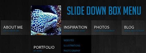 Image result for Great CSS Menu