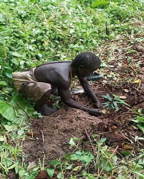 Press Release:Press Information Bureau