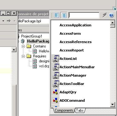 Image result for Delphi IDE Software Installation