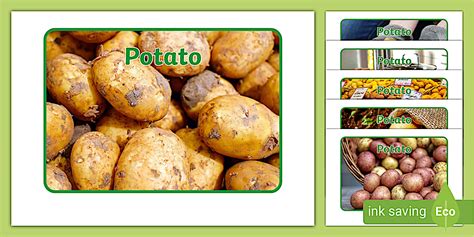 Potato Photo Pack