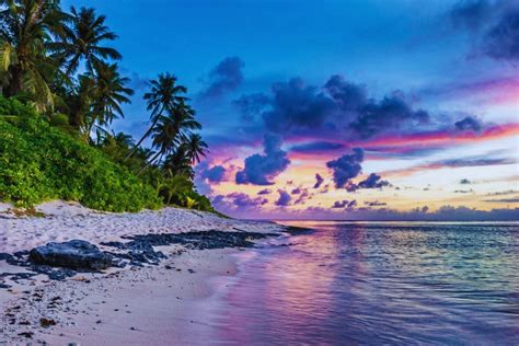 Tropical Beach Sunset with Palm Trees - Framed Canvas Art