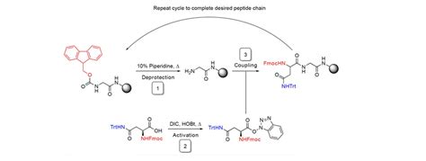 Image result for Peptide Synthesis Lab Experiment