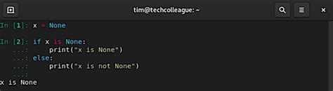 Image result for None in Python Example Code