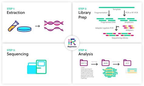 Image result for Solid Sequencing Explained