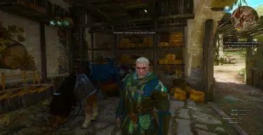 Witcher 3 Character Build Tutorial 的图像结果