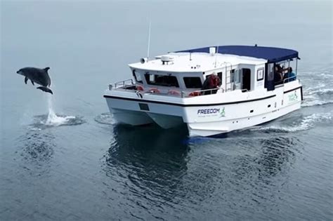 M V FREEDOM - A CHARITY GIVING ACCESS TO THE SEA FOR PEOPLE LIVING WITH ...