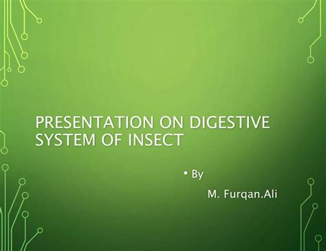 conversion gate01 - PRESENTATION ON DIGESTIVE SYSTEM OF INSECT By M ...