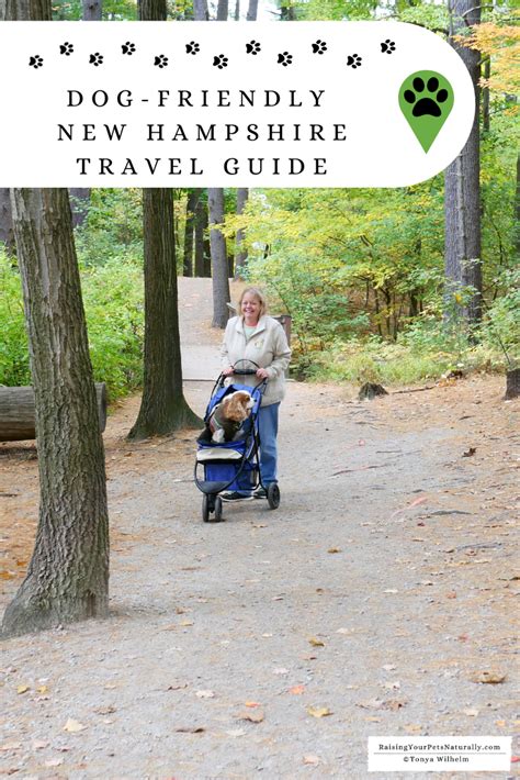 Are Pets Allowedat Nh.State Park Campgrounds