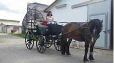 carrozza per cavalli calesse e carrozza per cavalli posot class carrozza per cavalli calesse e carrozza per cavalli posot class