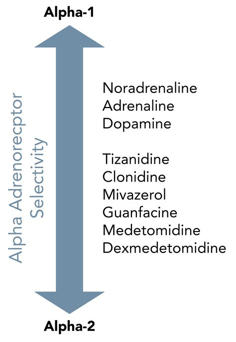 Alpha-2 Agonists (Clonidine & Dexmedetomidine) - theguidewire