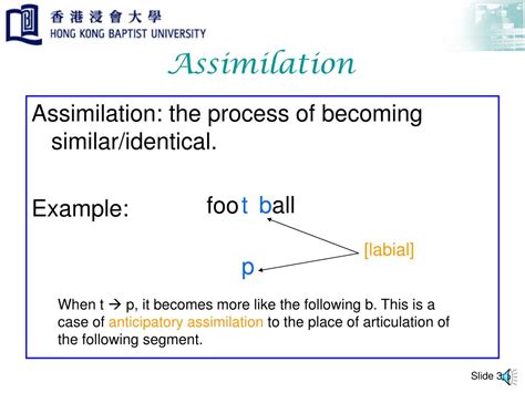 Image result for Different Types of Assimilation