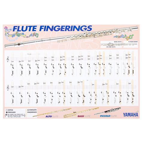 Flute Notes Chart Fingering & Trill Charts – Band – North Wasco