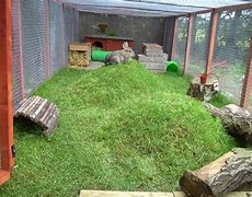 Image result for Indoor Rabbit Space Ideas