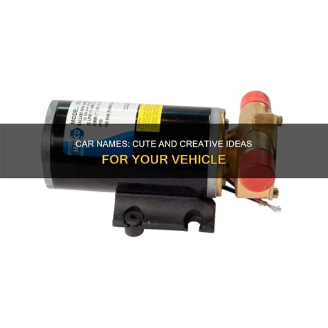 Car Names: Cute And Creative Ideas For Your Vehicle | ShunAuto