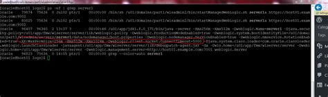 Image result for How to Start JavaServer